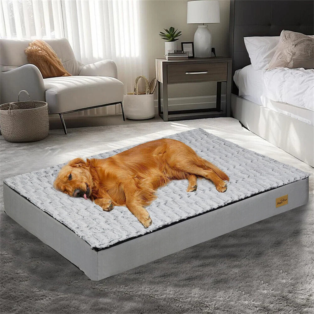 Orthopaedic Dog Bed